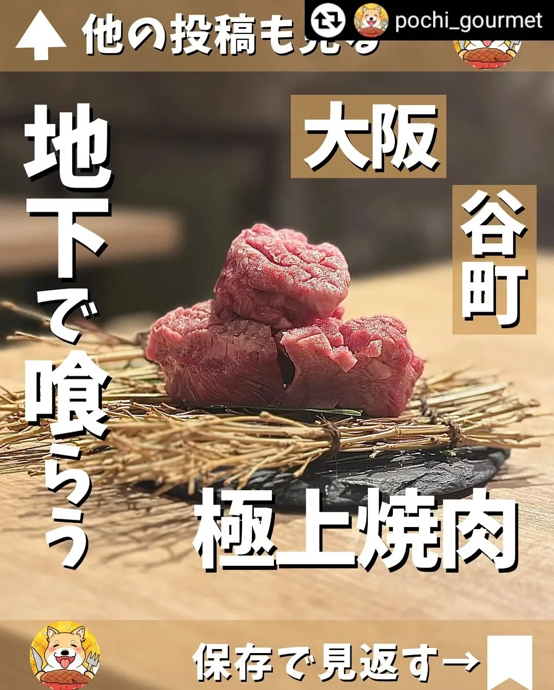 ご紹介頂き誠にありがとうございます✨