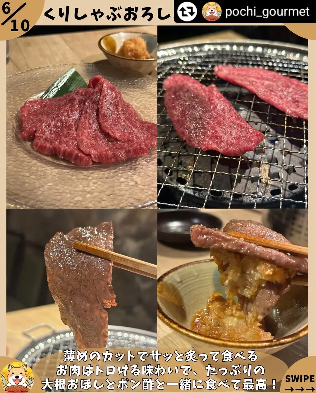 ご紹介頂き誠にありがとうございます✨